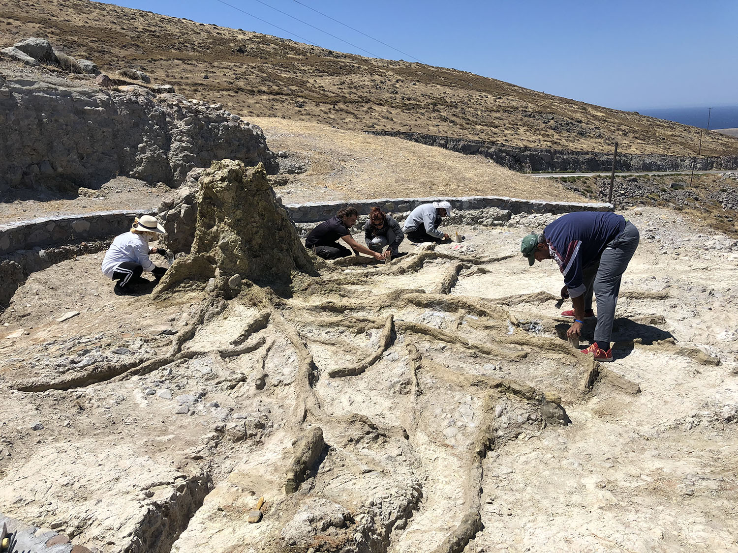 Σωστικές επεμβάσεις για την προστασία  των απολιθωμάτων κατά μήκος  του νέου οδικού άξονα Καλλονής - Σιγρίου 