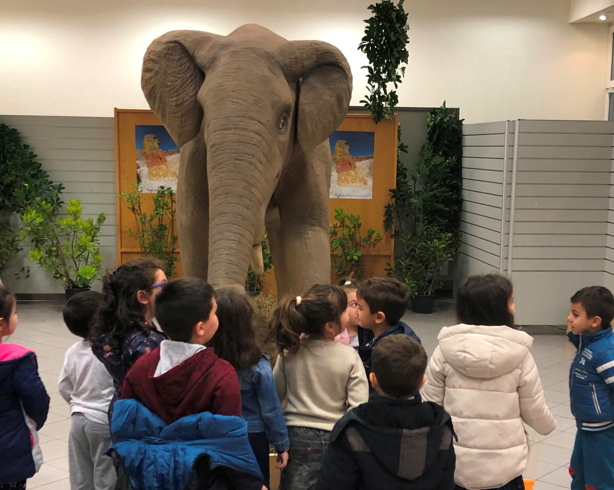 Οι περιπέτειες του μικρού Δεινούλη στο δάσος με τις Σεκόιες