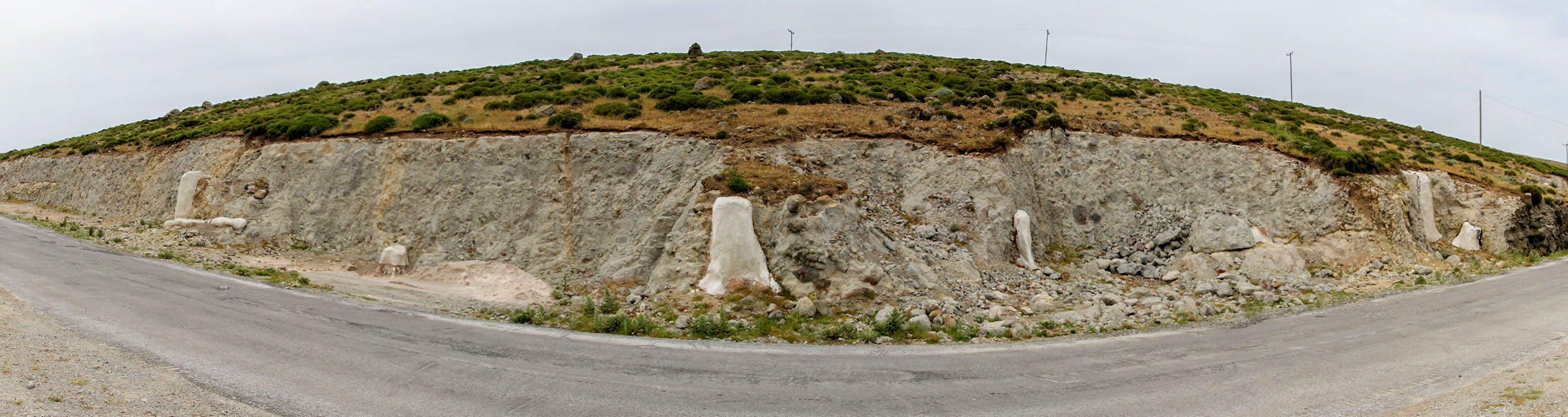 The FOREST under the ROAD 