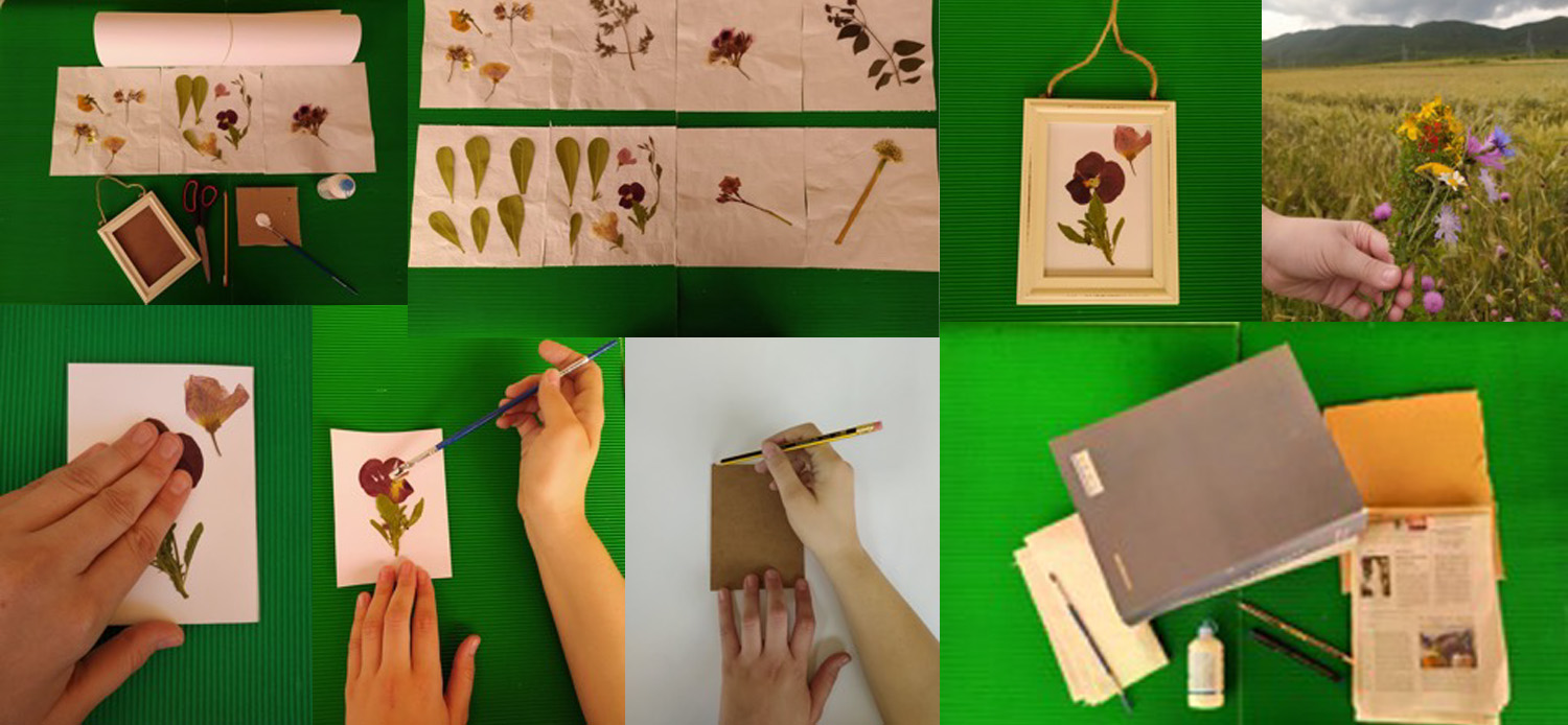 Herbarium and Plant Collection