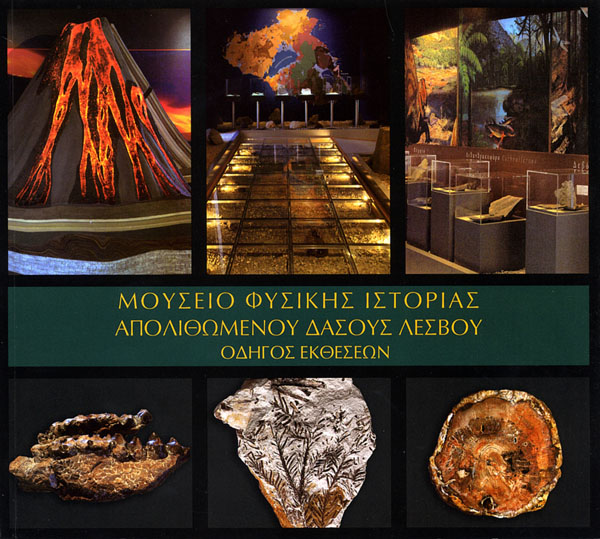 Οδηγός εκθέσεων Μουσείου