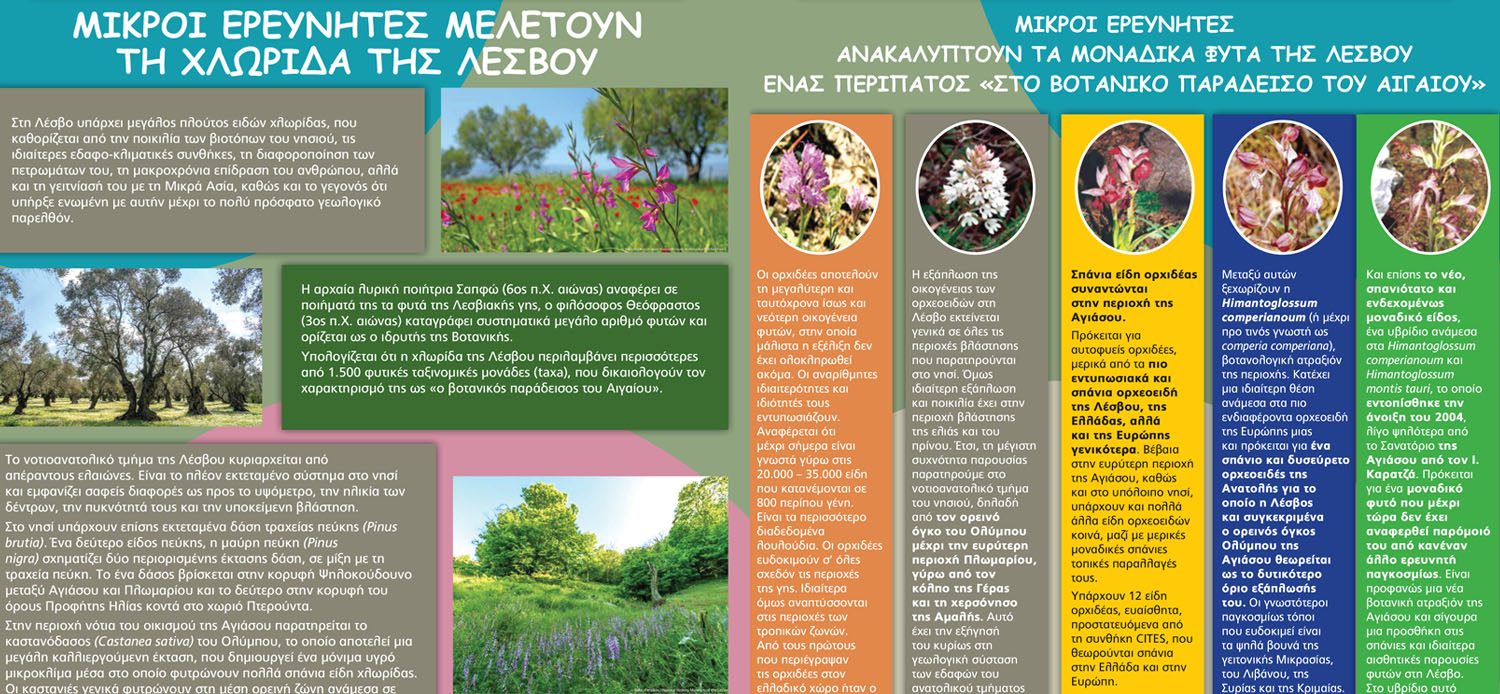 YOUNG EXPLORERS DISCOVER THE PLANT BIODIVERSITY OF THE LESVOS GEOPARK