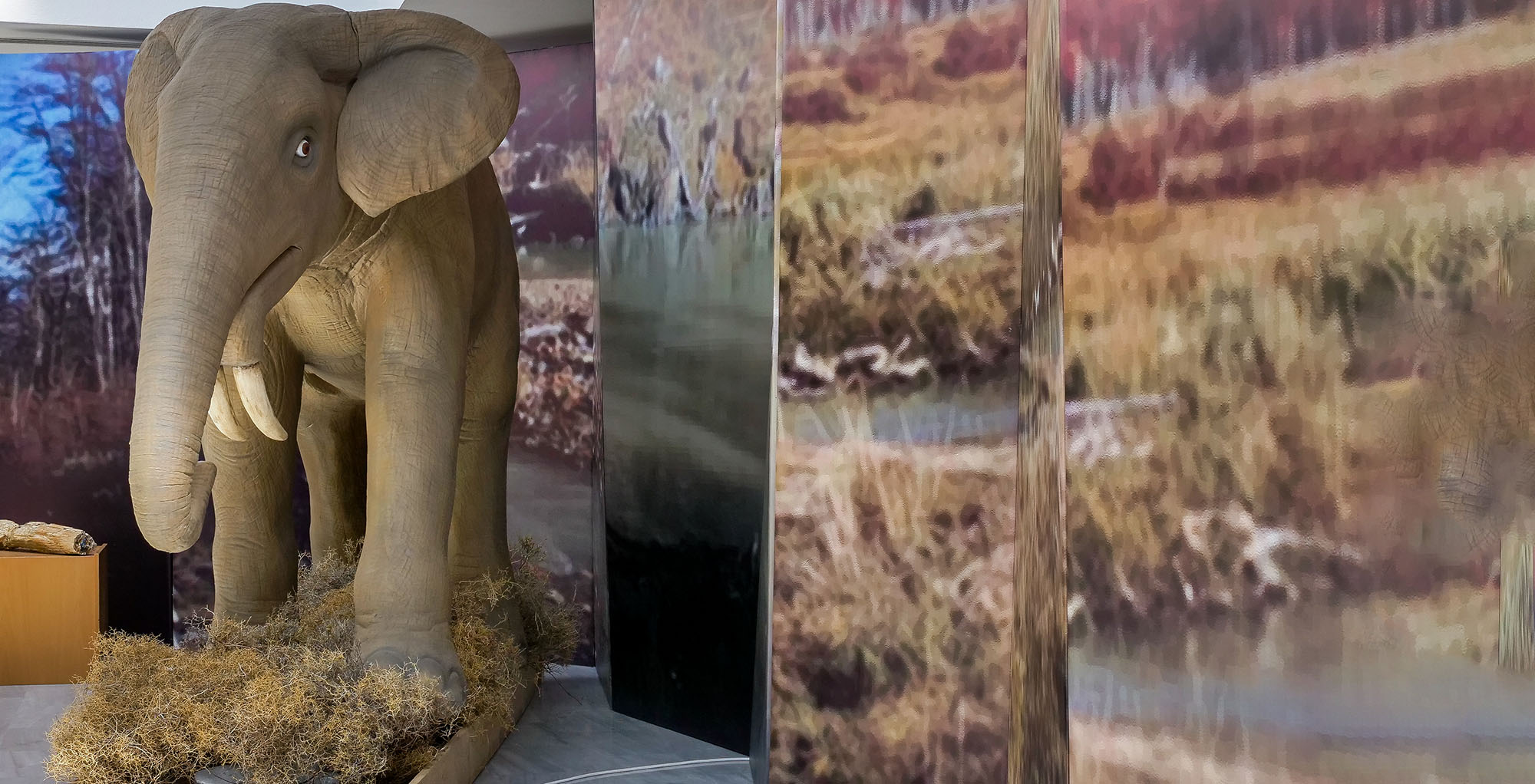 The Deinotherium and the animals of the Petrified Forest of Lesvos