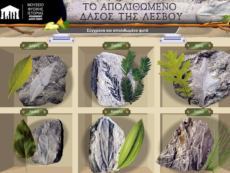 ΑΠΟΛΙΘΩΜΕΝΑ & ΣΥΓΧΡΟΝΑ ΦΥΤΑ ΤΗΣ ΛΕΣΒΟΥ