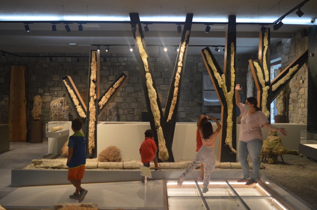 ΕΗΠΚ_Εκπαιδευτικά ΜΦΙΑΔΛ