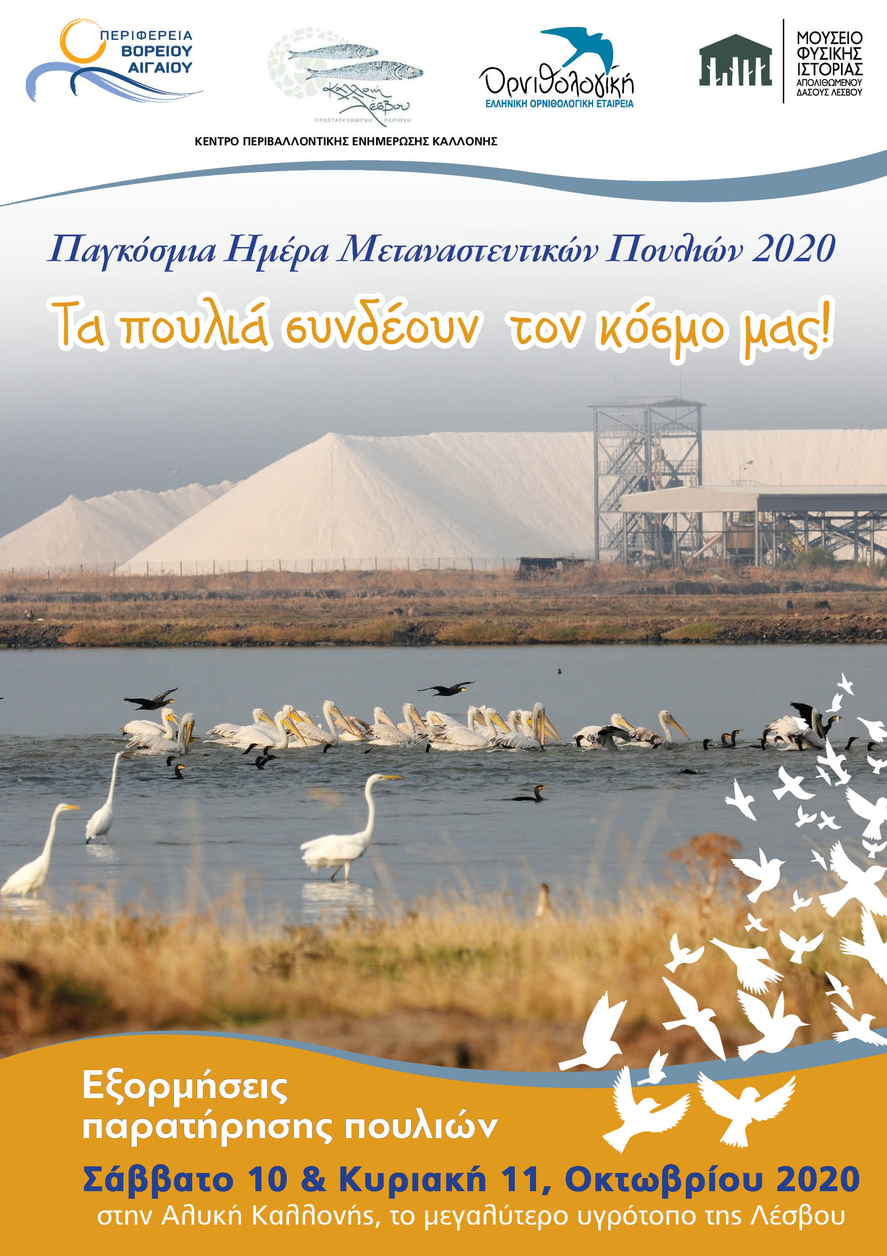 ΠΑΓΚΟΣΜΙΑ ΗΜΕΡΑ ΜΕΤΑΝΑΣΤΕΥΤΙΚΩΝ ΠΟΥΛΙΩΝ 2020