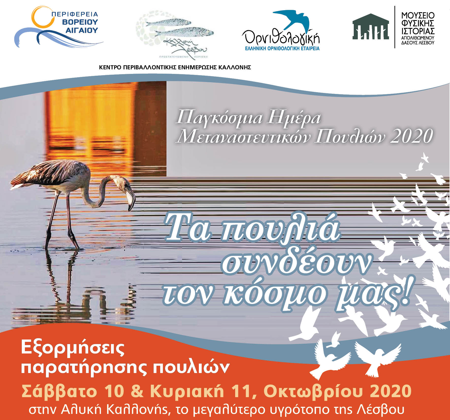 ΠΑΓΚΟΣΜΙΑ ΗΜΕΡΑ ΜΕΤΑΝΑΣΤΕΥΤΙΚΩΝ ΠΟΥΛΙΩΝ 2020