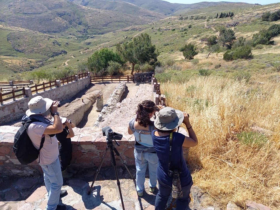Παρατήρηση πουλιών
