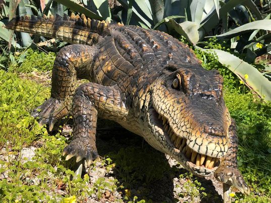 Ο Αλιγάτορας της Λιώτας έρχεται στο Σίγρι 