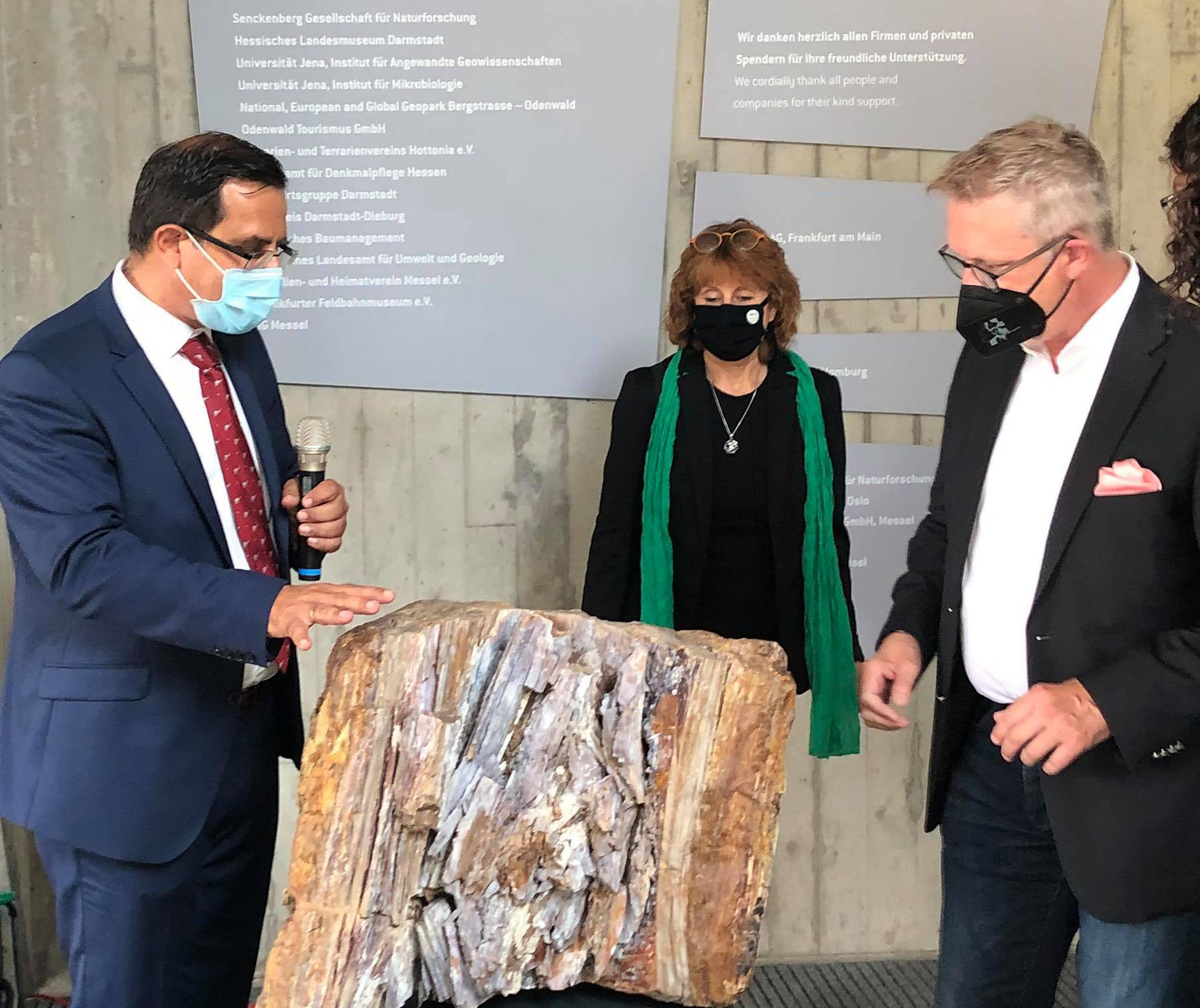 Παράταση λειτουργίας της μεγάλης έκθεσης του Απολιθωμένου Δάσους στη Φρανκφούρτη