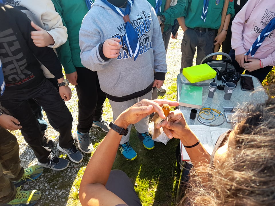 Επίδειξη δακτυλίωσης Κοκκινολαίμη- ΚΠΕΝ Καλλονής