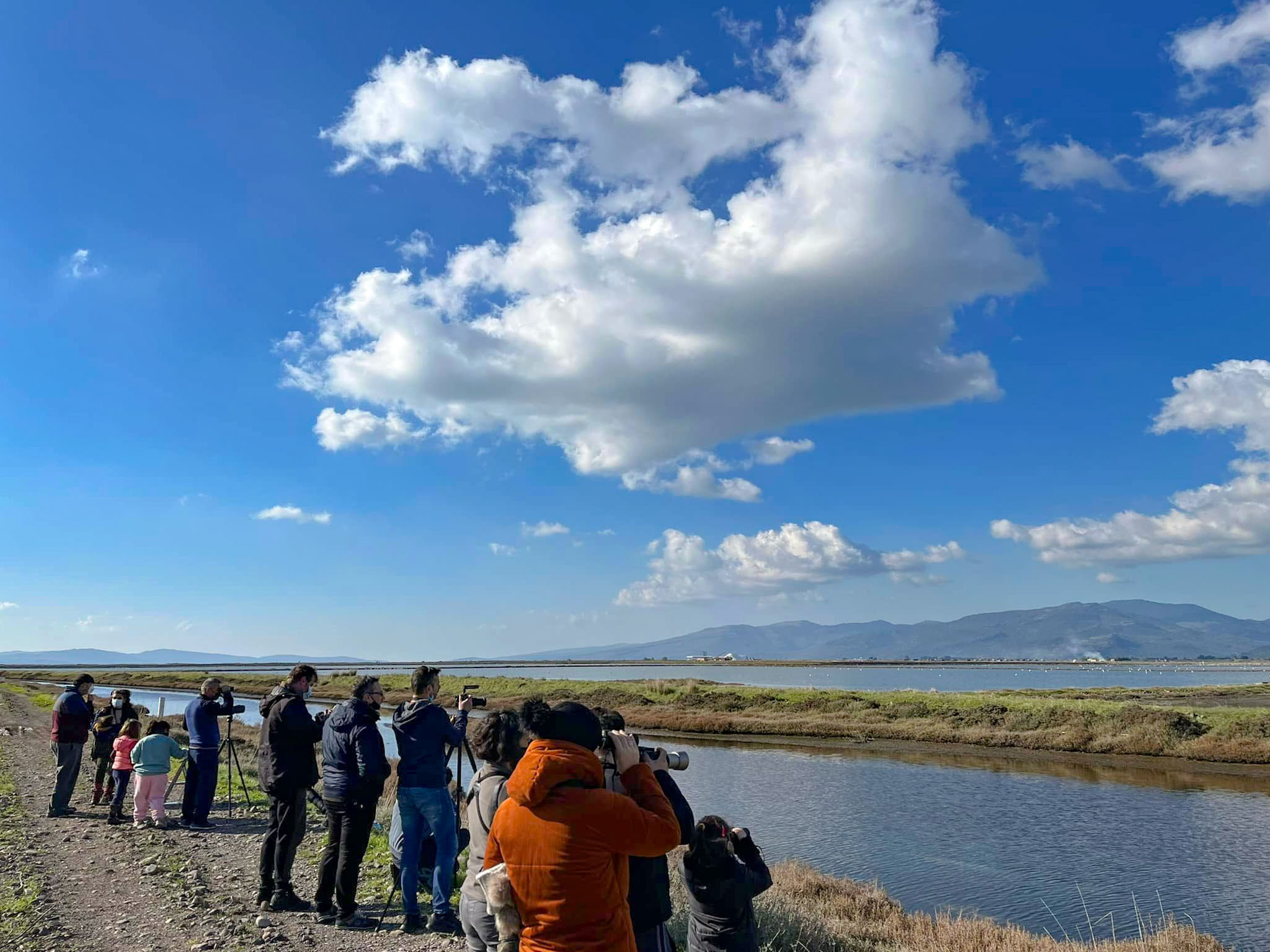 Χειμωνιάτικες εξορμήσεις  στους υγροτόπους της Λέσβου!