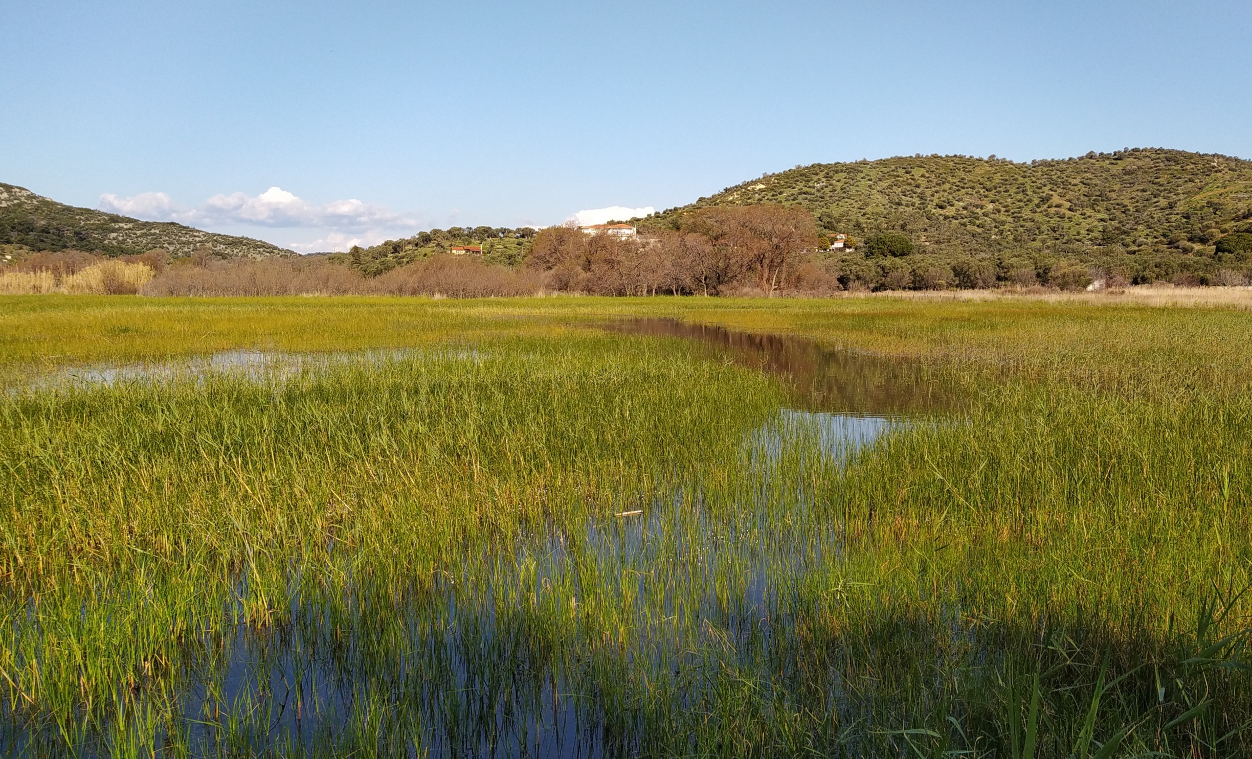 2 ΦΕΒΡΟΥΑΡΙΟΥ ΠΑΓΚΟΣΜΙΑ ΗΜΕΡΑ ΥΓΡΟΤΟΠΩΝ 