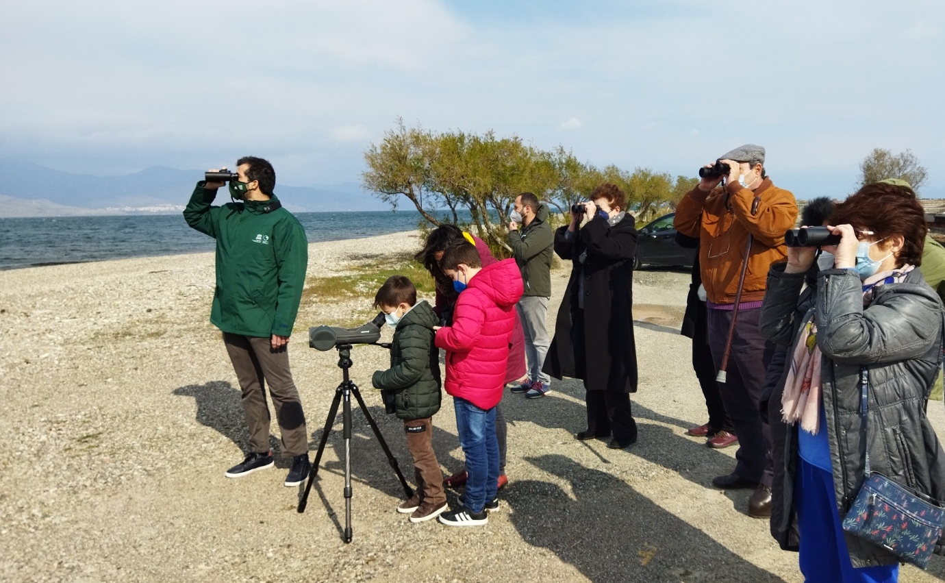 Τα πουλιά του χειμώνα στους υγροτόπους του Πολυχνίτου 