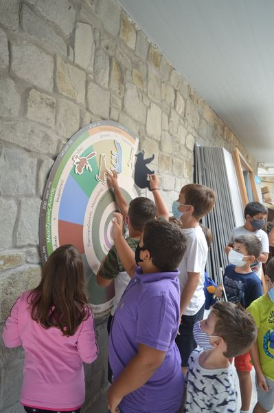 ΔΡΑΣΕΙΣ ΓΙΑ ΜΙΚΡΟΥΣ ΚΑΙ ΜΕΓΑΛΟΥΣ   στο Μουσείο Φυσικής Ιστορίας Απολιθωμένου Δάσους Λέσβου 