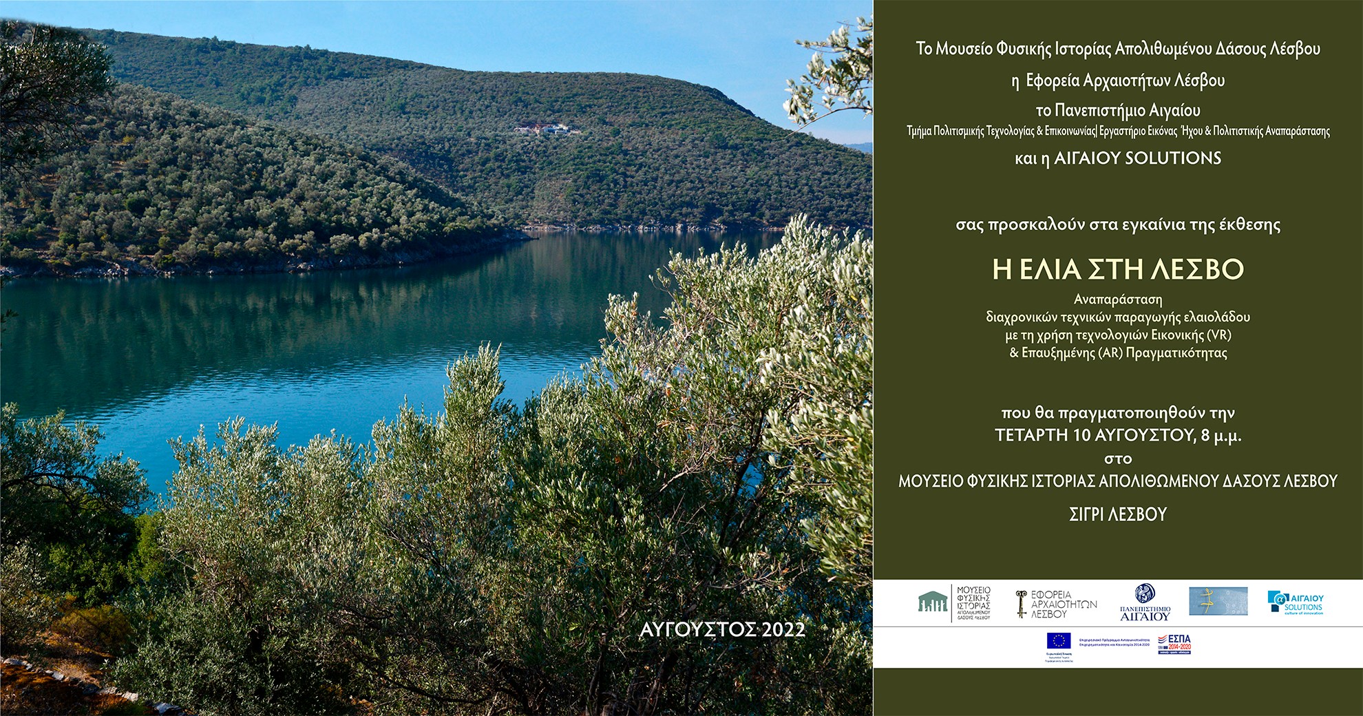 Η ΕΛΙΑ ΣΤΗ ΛΕΣΒΟ