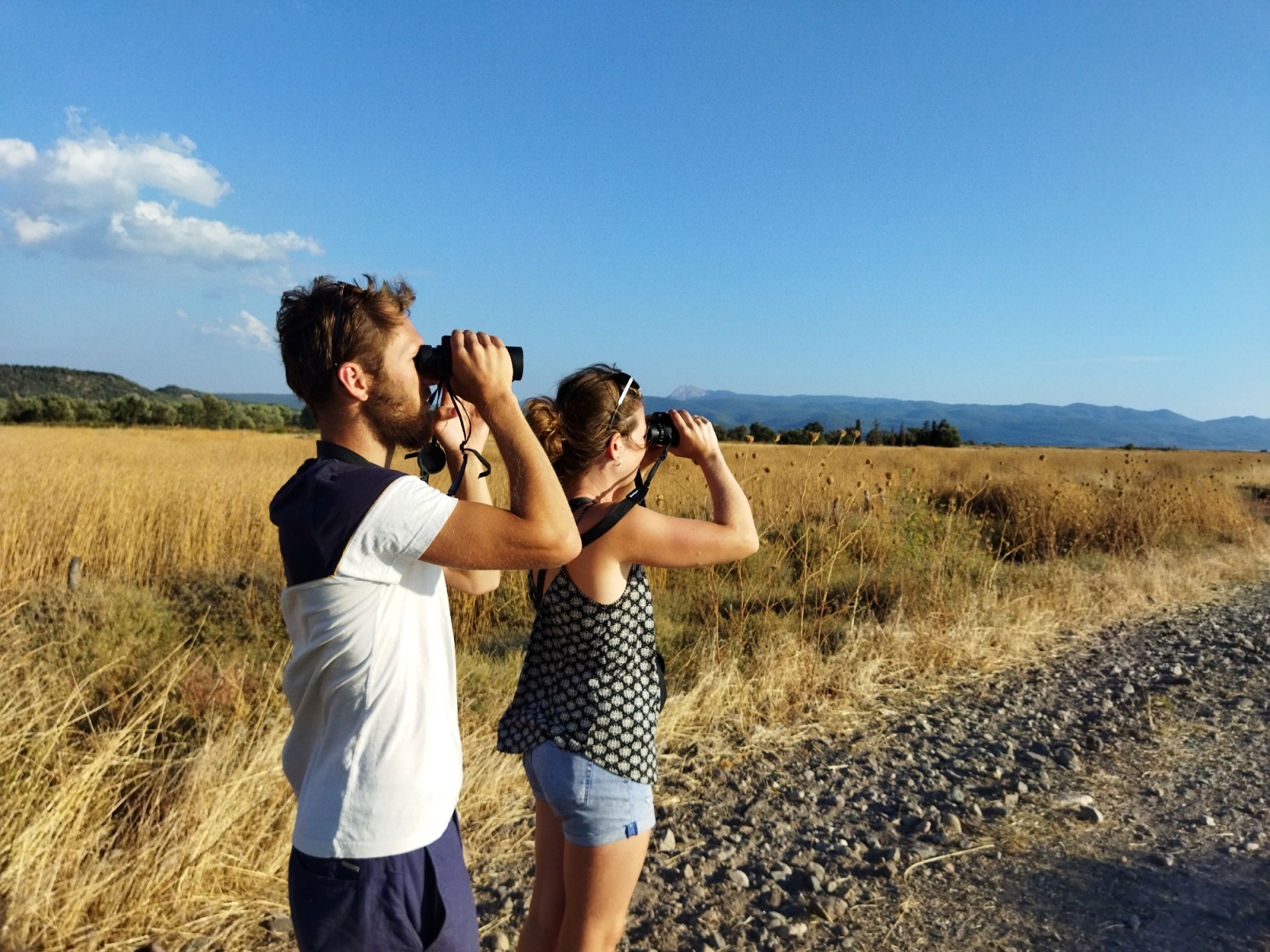 ΔΡΑΣΕΙΣ ΠΑΡΑΤΗΡΗΣΗΣ ΠΟΥΛΙΩΝ 