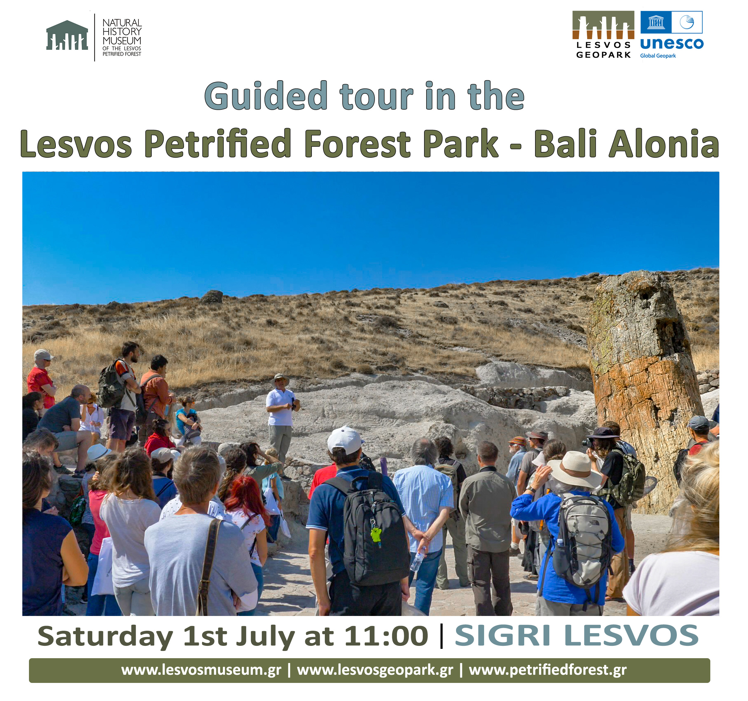 Guided tour in the Lesvos Petrified Forest