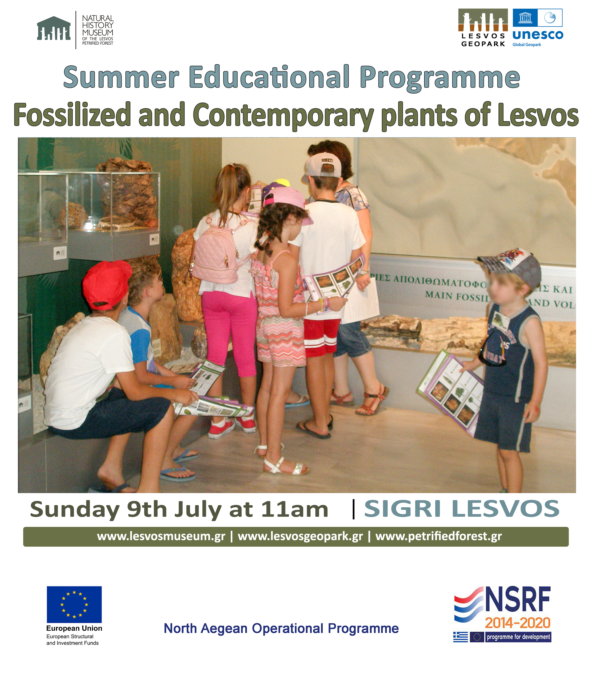 Summer Educational Program “Fossilized and Contemporary plants of Lesvos”
