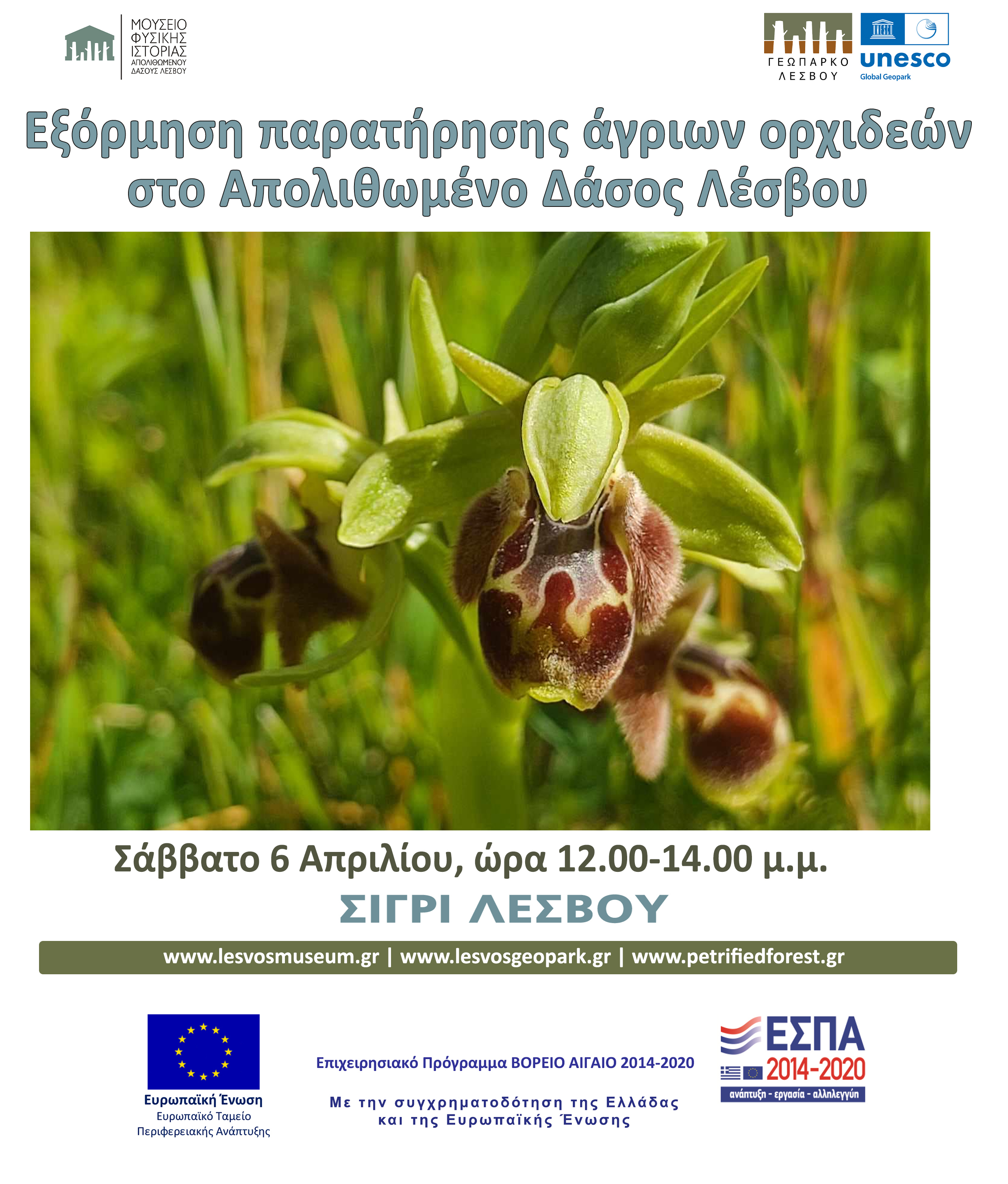 Νέα εξόρμηση