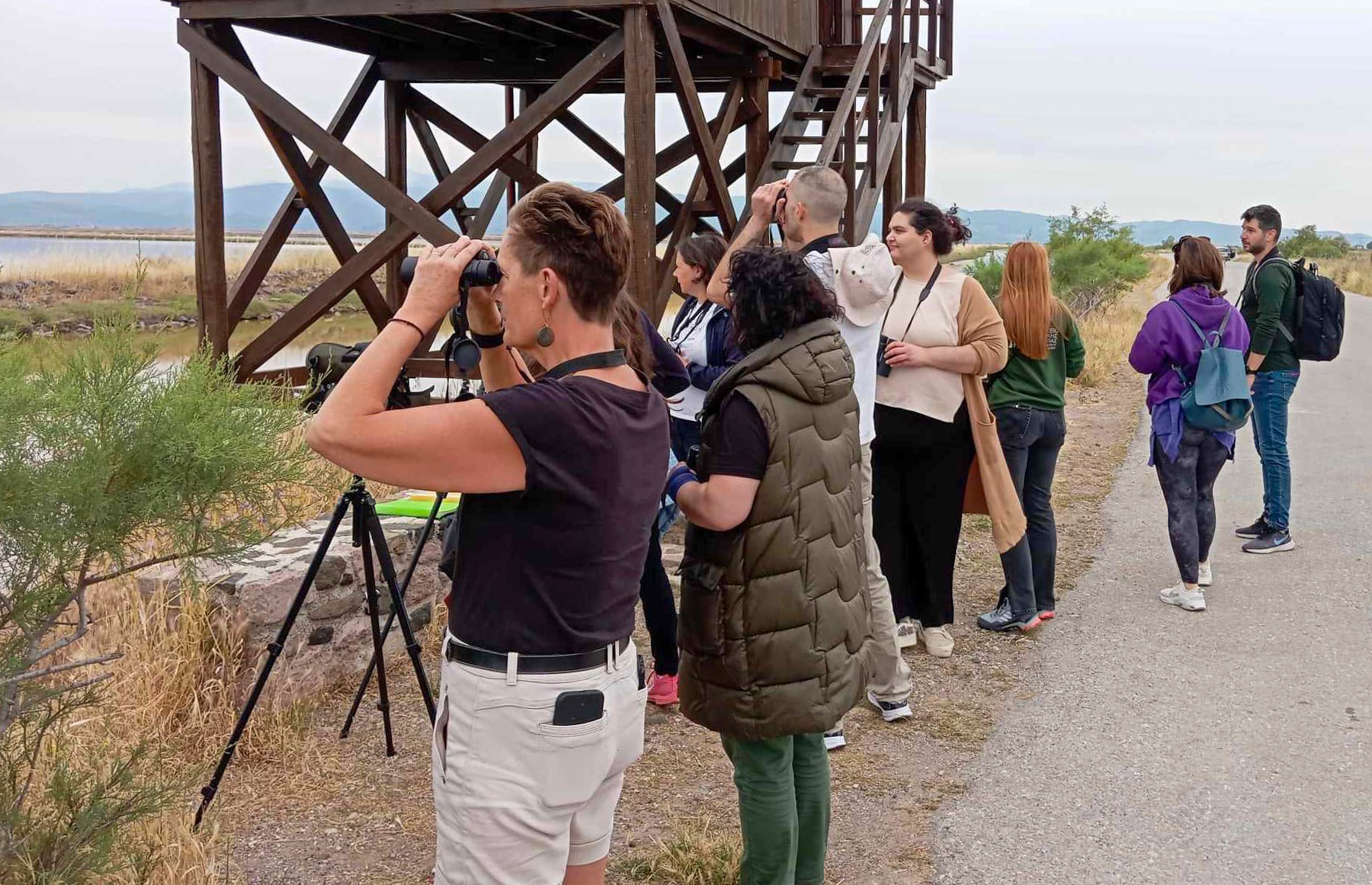 Ορνιθοπαρατήρηση στις Αλυκές Καλλονής