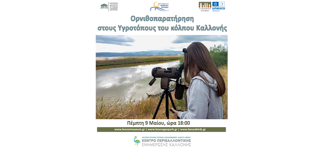 Ορνιθοπαρατήρηση στους υγροτόπους των Αλυκών Καλλονής