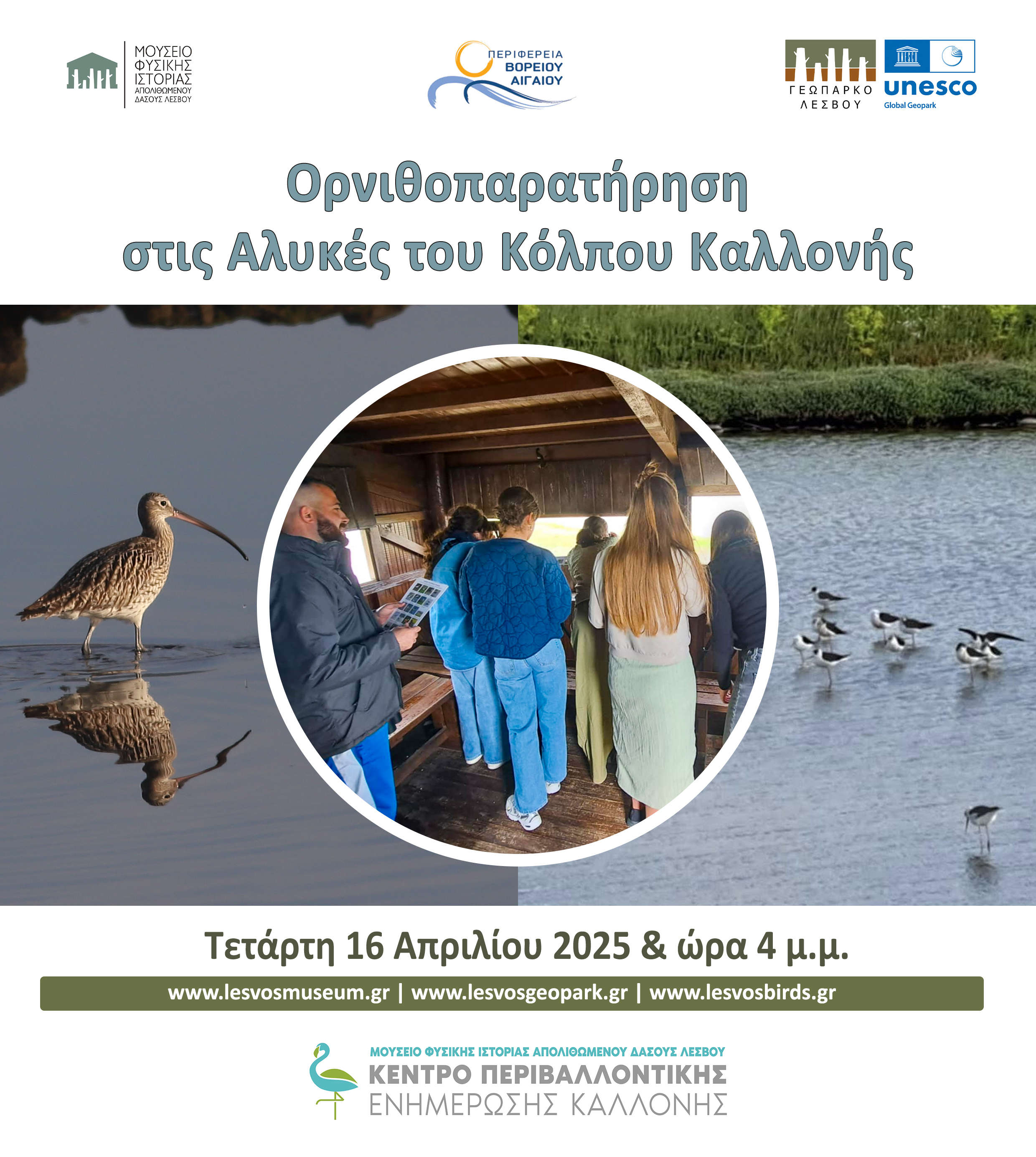 ΟΡΝΙΘΟΠΑΡΑΤΗΡΗΣΗ ΣΤΙΣ ΑΛΥΚΕΣ ΤΟΥ ΚΟΛΠΟΥ ΚΑΛΛΟΝΗΣ