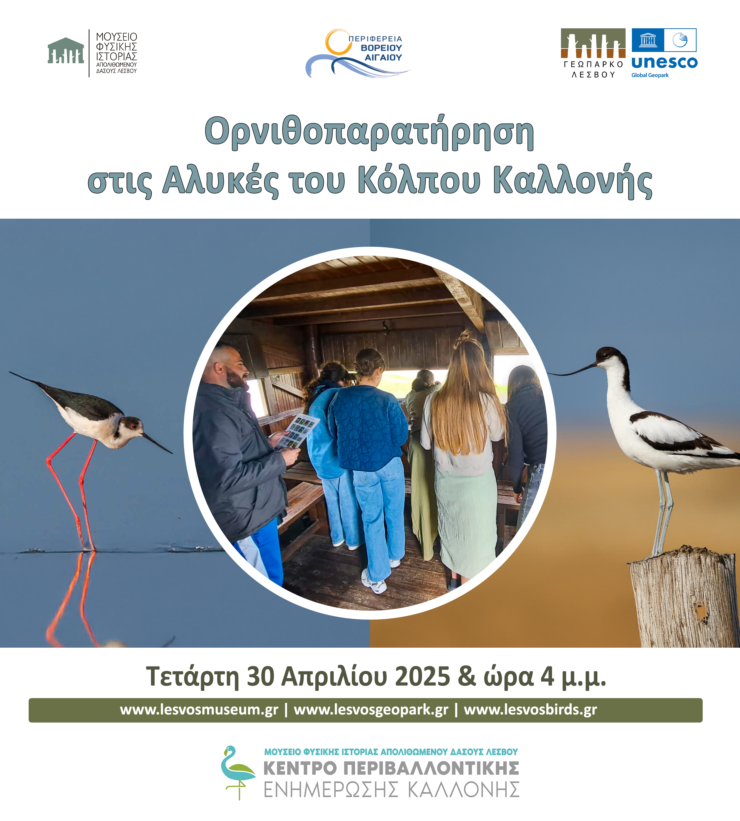 ΟΡΝΙΘΟΠΑΡΑΤΗΡΗΣΗ ΣΤΙΣ ΑΛΥΚΕΣ ΤΟΥ ΚΟΛΠΟΥ ΚΑΛΛΟΝΗΣ