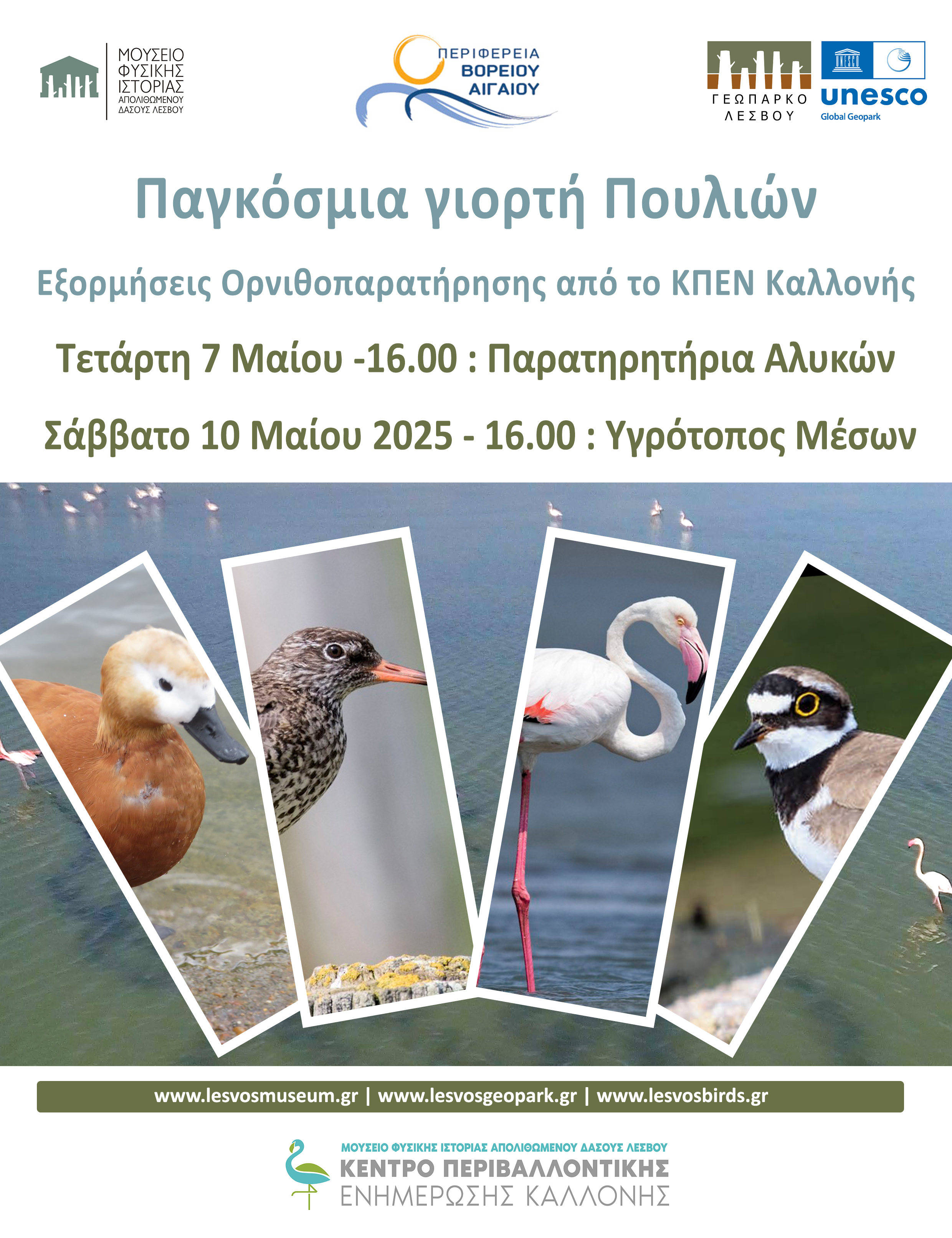 Νέα εξόρμηση το Σάββατο 10 Μαΐου 2025  & ώρα 16:00 στον Υγρότοπο Μέσων