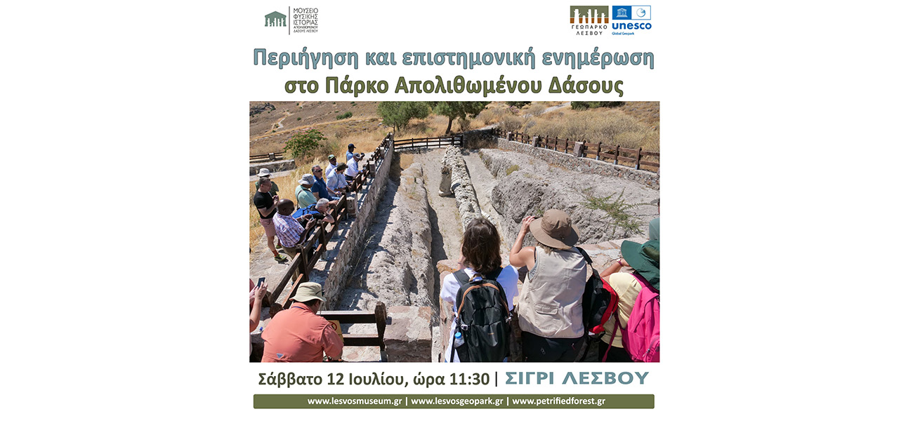 Περιήγηση και επιστημονική ενημέρωση  στο Πάρκο Απολιθωμένου Δάσους “Μπαλή Αλώνια”