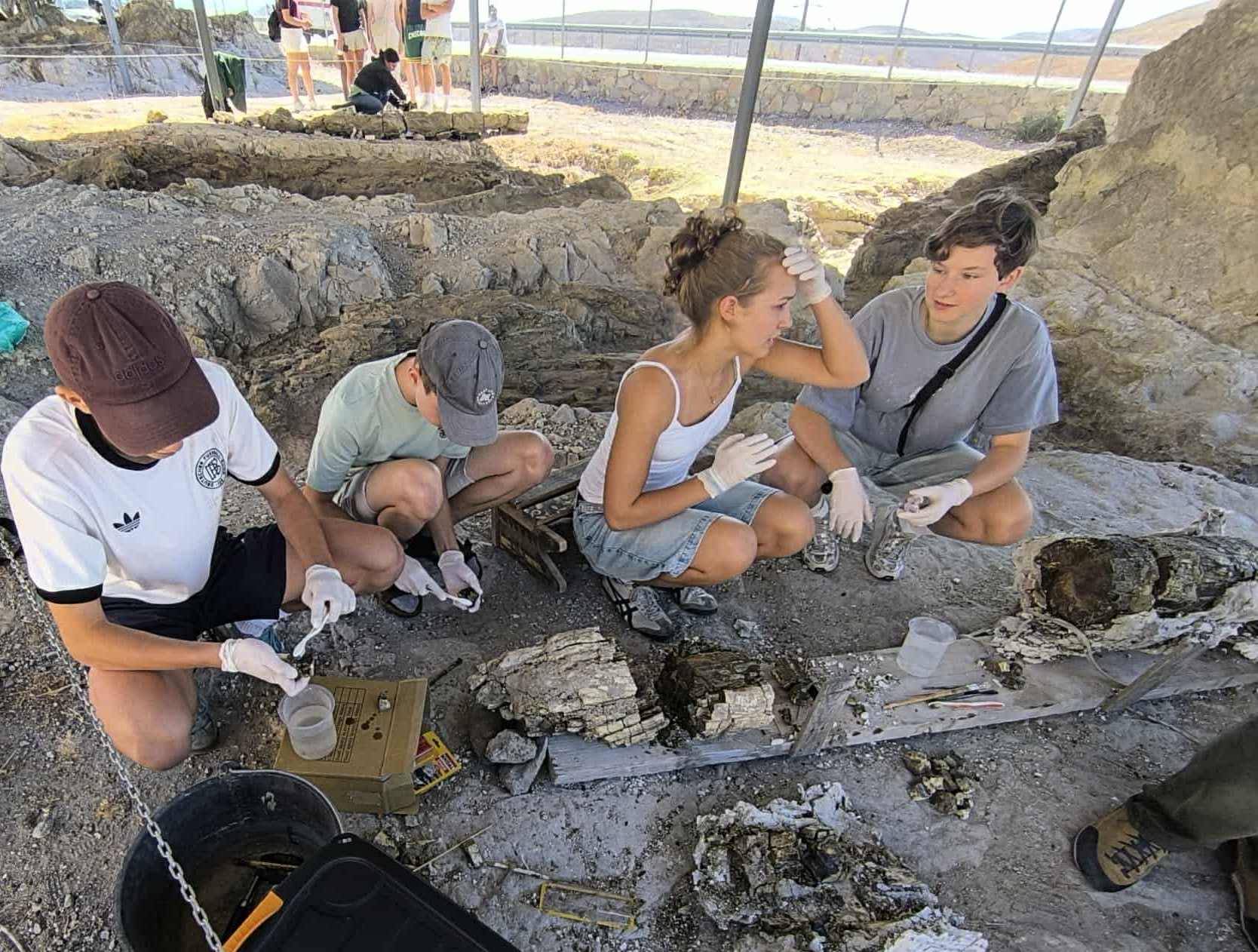 ΤΟ ΓΕΩΠΑΡΚΟ ΛΕΣΒΟΥ ΚΑΙ ΤΟ ΑΠΟΛΙΘΩΜΕΝΟ ΔΑΣΟΣ ΕΚΠΑΙΔΕΥΤΙΚΟΣ ΠΡΟΟΡΙΣΜΟΣ ΓΙΑ ΣΧΟΛΕΙΑ ΠΑΓΚΟΣΜΙΩΝ ΓΕΩΠΑΡΚΩΝ UNESCO