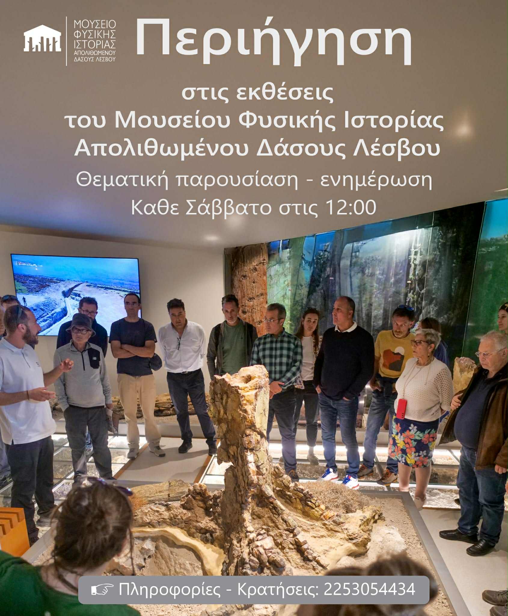 Περιήγηση και ενημέρωση στους εκθεσιακούς χώρους του Μουσείου Φυσικής Ιστορίας  Απολιθωμένου Δάσους Λέσβου 