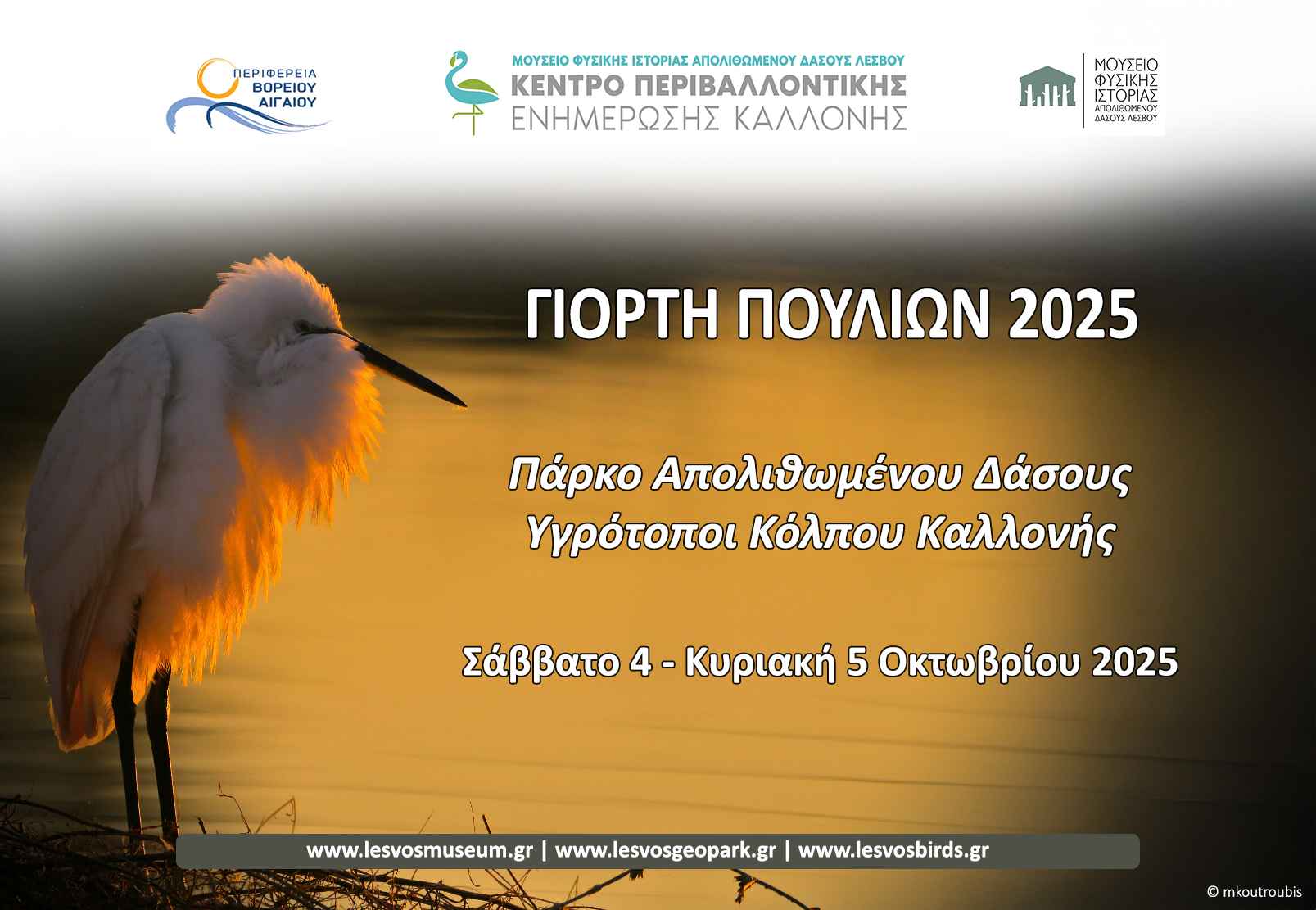 ΓΙΟΡΤΗ ΠΟΥΛΙΩΝ 2025