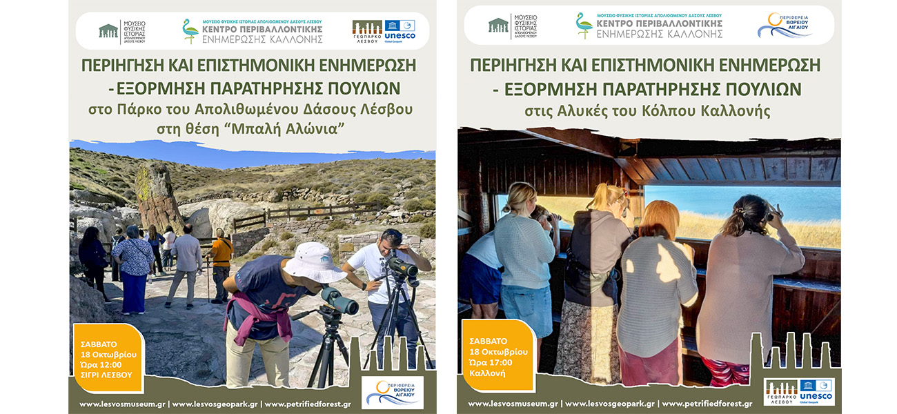 Ορνιθοπαρατήρηση 