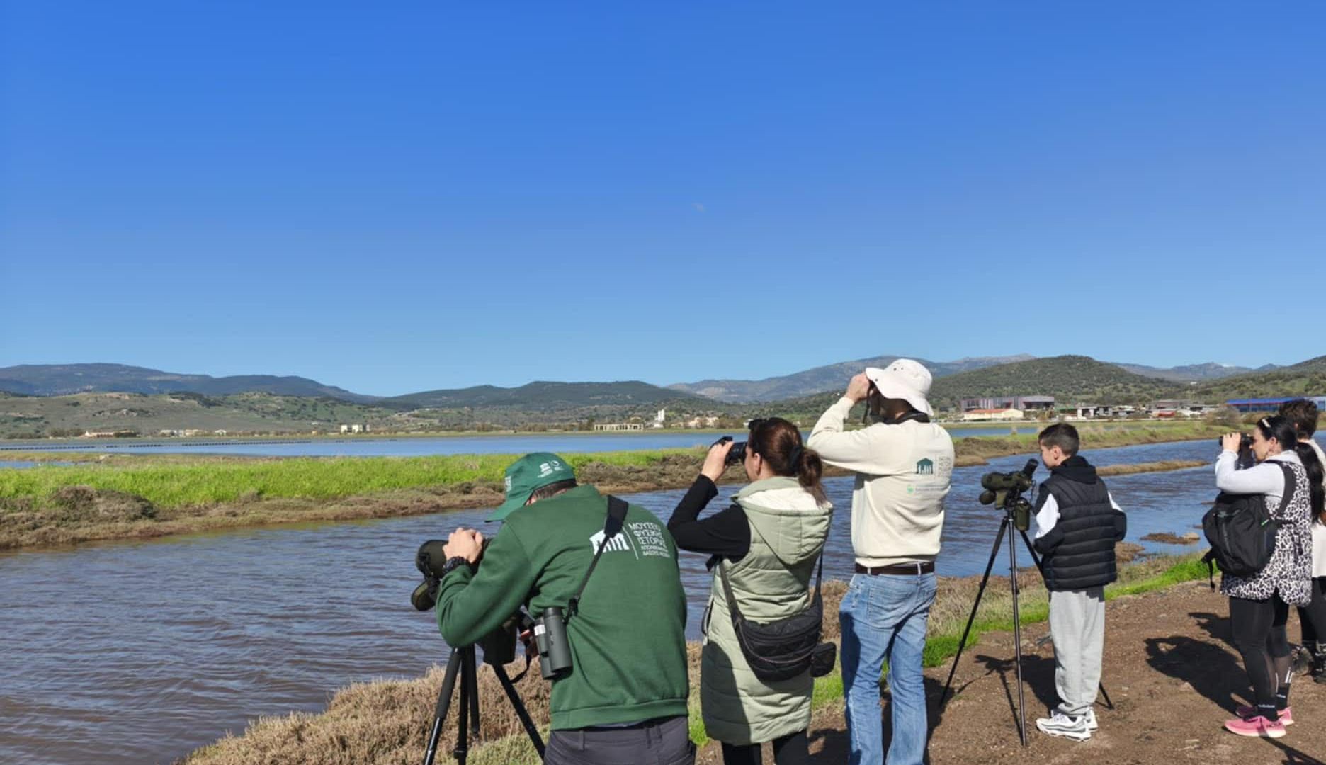 Εκδήλωση παρατήρησης χειμερινών παρυδάτιων πουλιών στους Υγρότοπους του Κόλπου Καλλονής