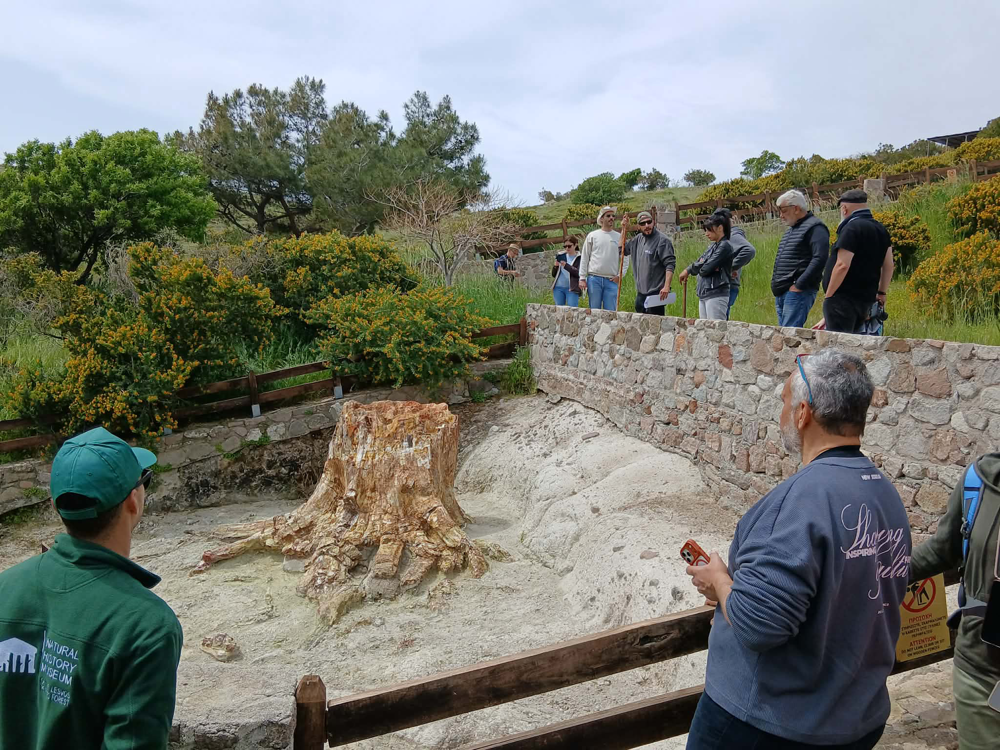 Εαρινή Περιήγηση και επιστημονική ενημέρωση στο Πάρκο του Απολιθωμένου Δάσους Λέσβου στη θέση “Μπαλή Αλώνια”