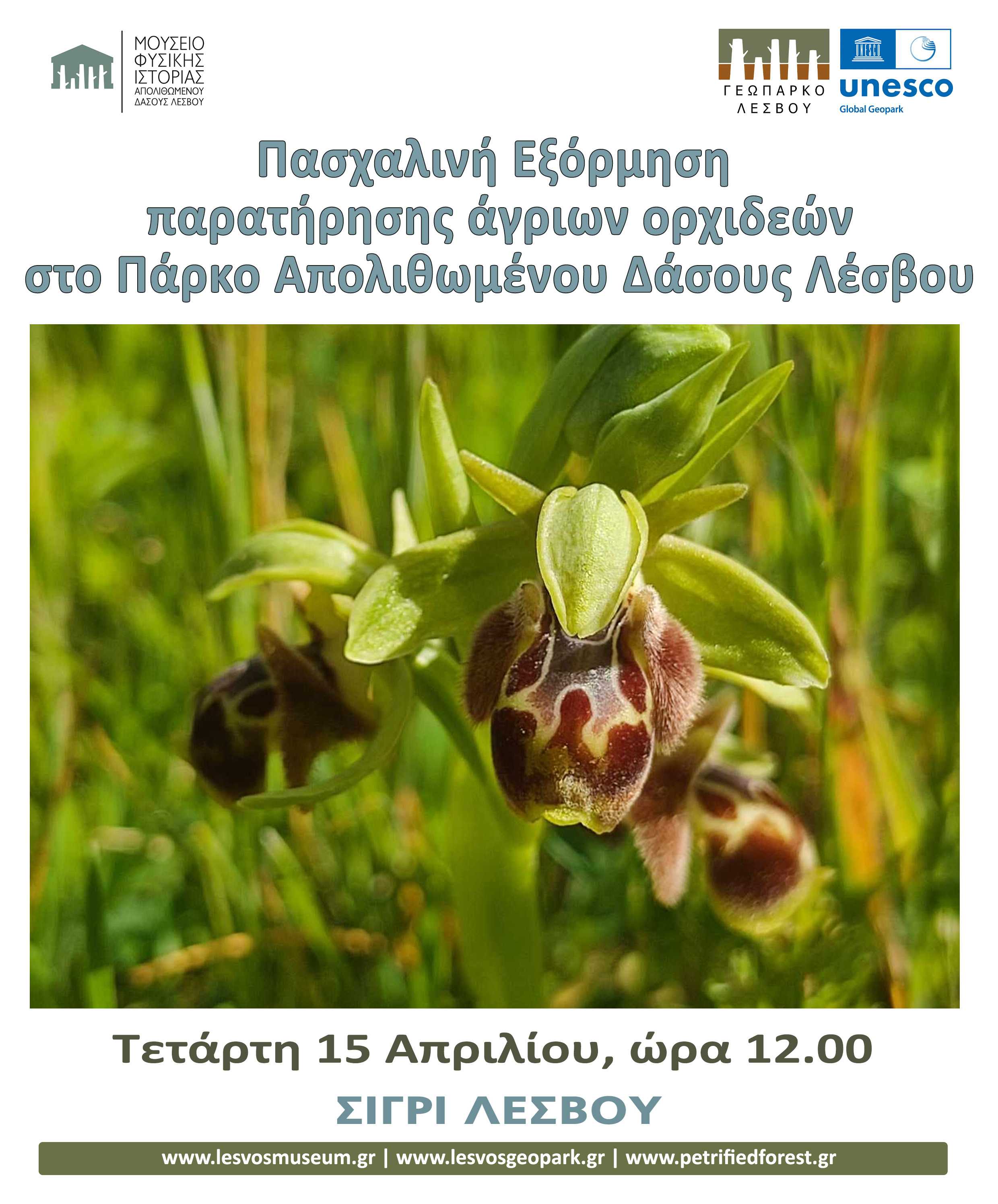 Τετάρτη 15 Απριλίου 2026, ώρα 12:00