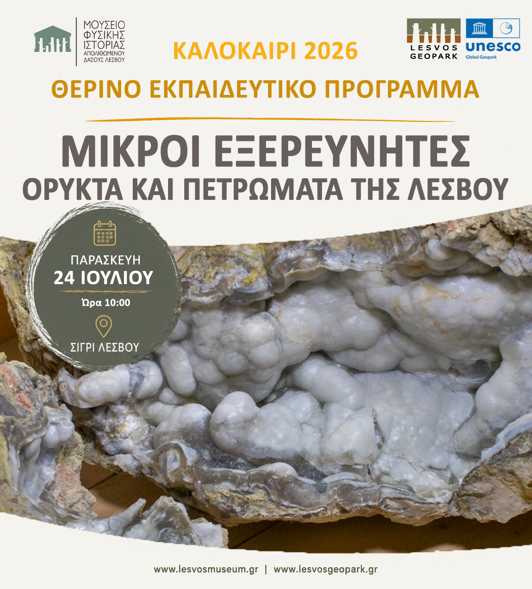 Θερινό εκπαιδευτικό Πρόγραμμα «Ορυκτά και πετρώματα της Λέσβου»