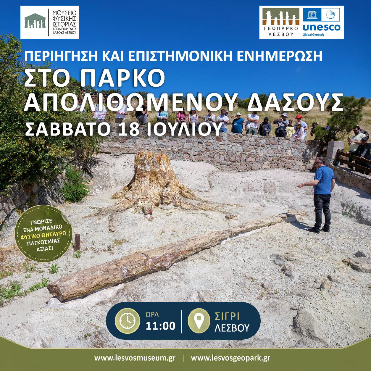 ΠΑΡΚΟ ΑΠΟΛΙΘΩΜΕΝΟΥ ΔΑΣΟΥΣ ΛΕΣΒΟΥ – ΜΠΑΛΗ ΑΛΩΝΙΑ