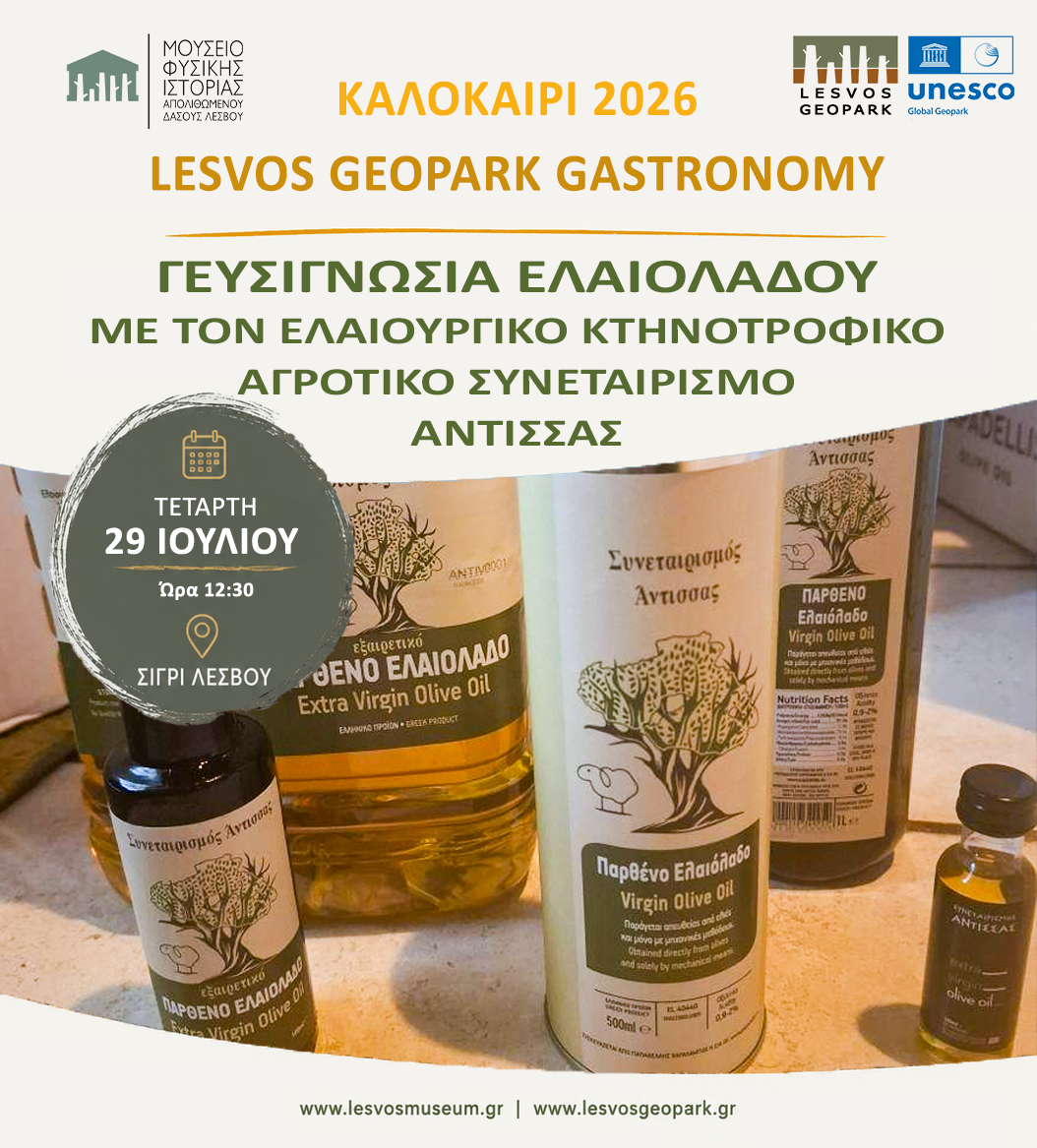 Γευσιγνωσία Παρθένου Ελαιόλαδου  από τον Συνεταιρισμό Άντισσας
