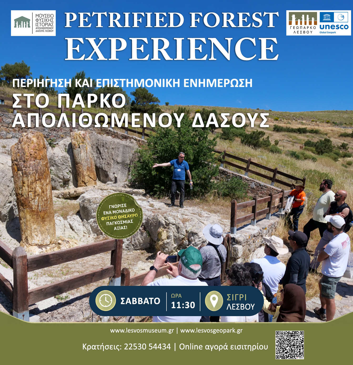 Petrified Forest Experience 2026