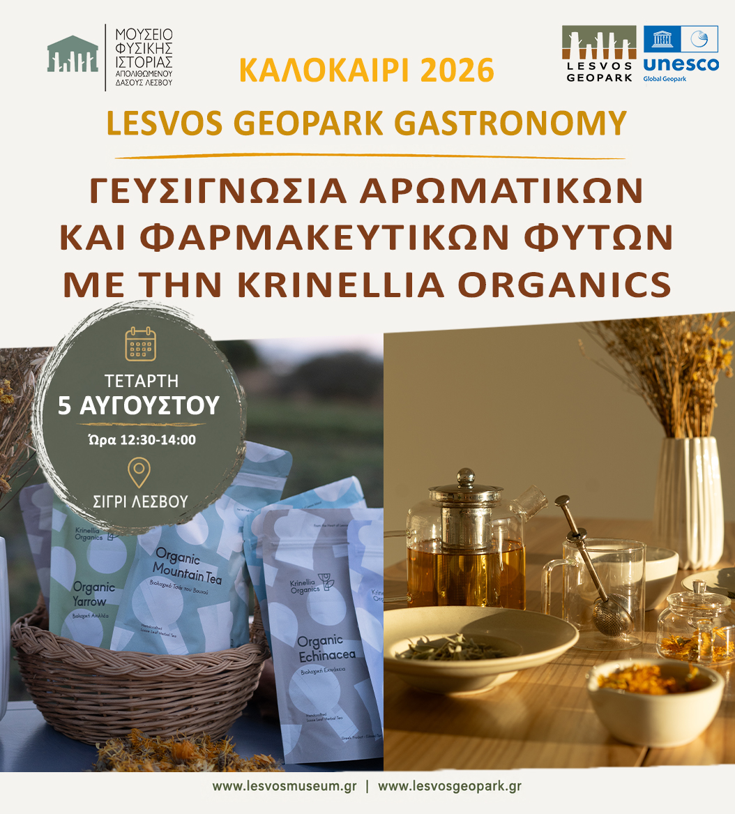 Γευσιγνωσία αρωματικών και φαρμακευτικών φυτών με την Krinellia Organics