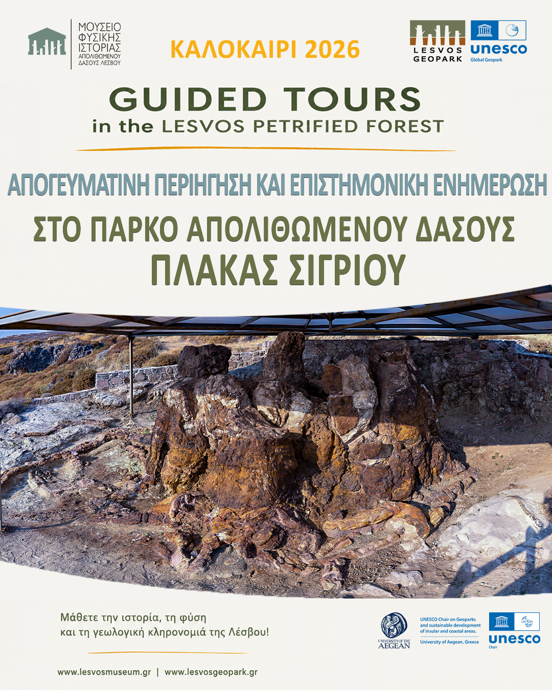 Απογευματινή περιήγηση & επιστημονική ενημέρωση στο Πάρκο Απολιθωμένου Δάσους Πλάκας Σιγρίου