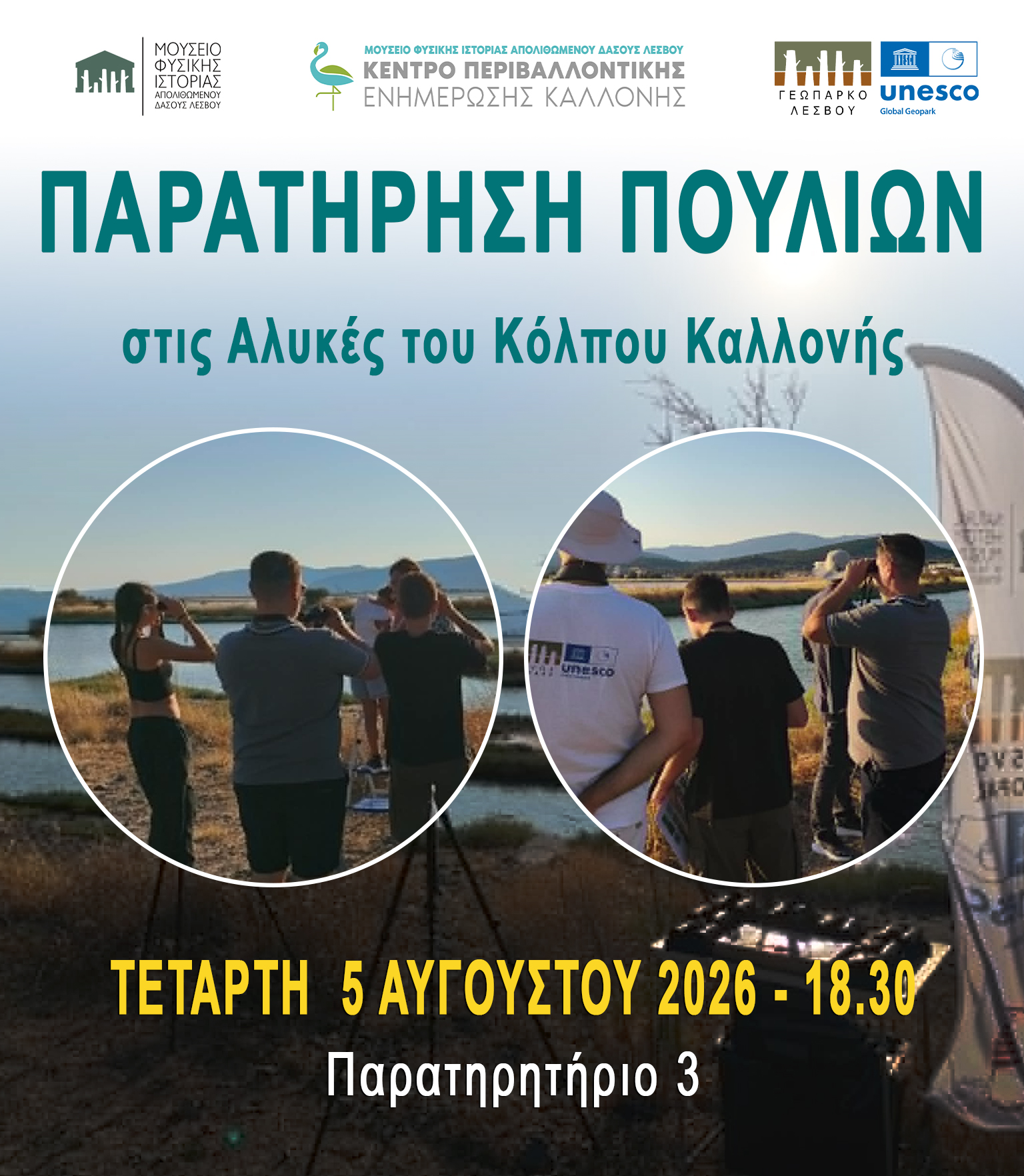 Παρατήρηση πουλιών στους Υγρότοπους  του Κόλπου Καλλονής