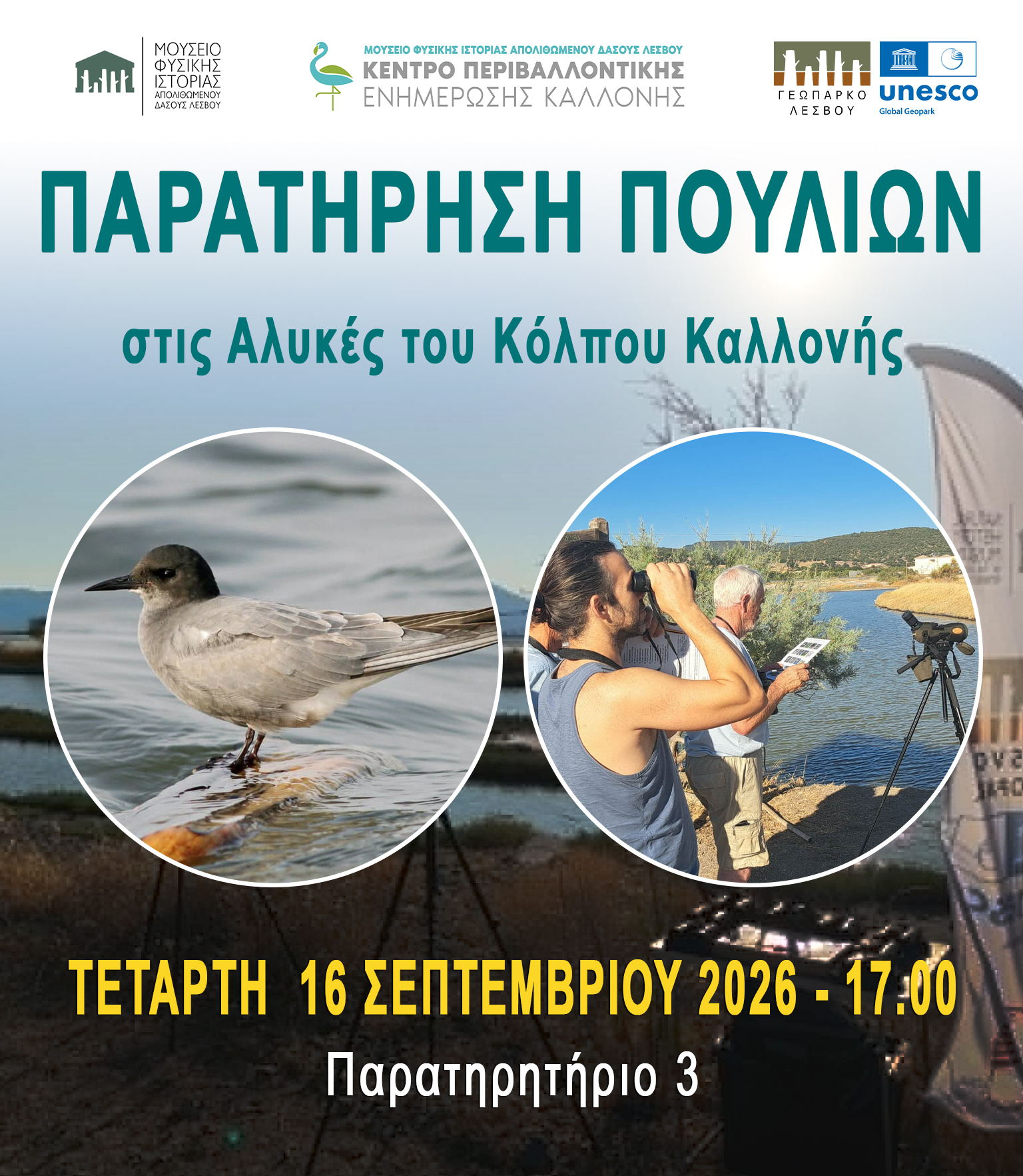 ΔΡΑΣΗ ΟΡΝΙΘΟΠΑΡΑΤΗΡΗΣΗΣ ΕΛΑΤΕ ΝΑ ΓΝΩΡΙΣΟΥΜΕ ΤΑ ΠΟΥΛΙΑ ΤΩΝ ΥΓΡΟΤΟΠΩΝ ΤΗΣ ΛΕΣΒΟΥ!