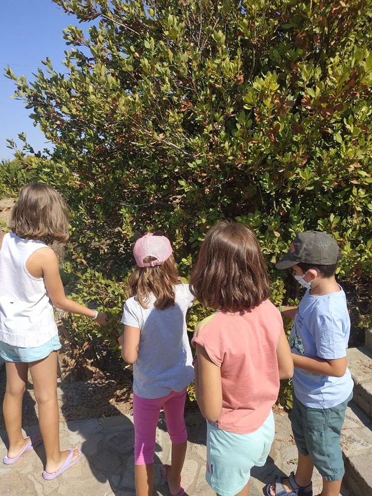 Εκπαιδευτικά ΜΦΙΑΔΛ