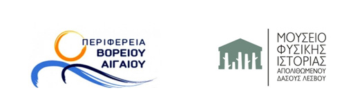 Με επιτυχία οι εξορμήσεις παρατήρησης πουλιών στις Αλυκές Καλλονής