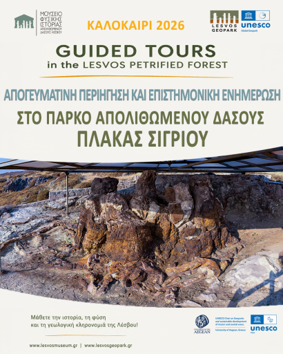 Απογευματινή περιήγηση & επιστημονική ενημέρωση στο Πάρκο Απολιθωμένου Δάσους Πλάκας Σιγρίου