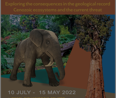Understanding Climate Change:  Exploring the consequences in the geological record