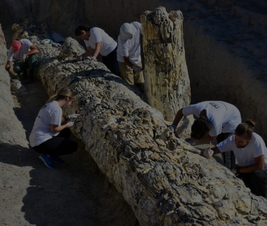 Συντηρώντας το παρελθόν